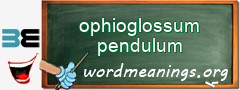 WordMeaning blackboard for ophioglossum pendulum